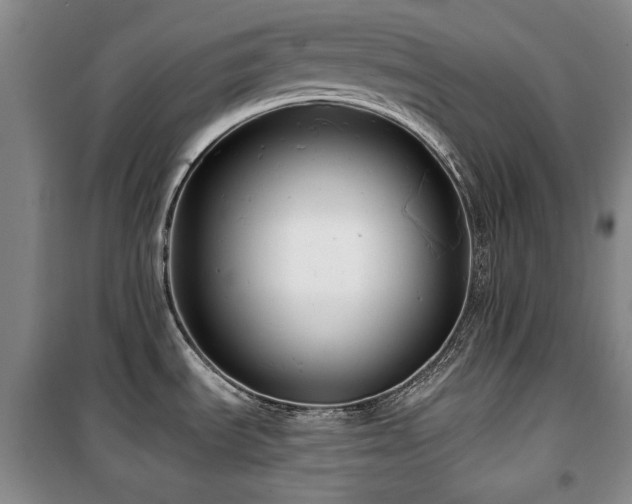 X0000100371535200806061144