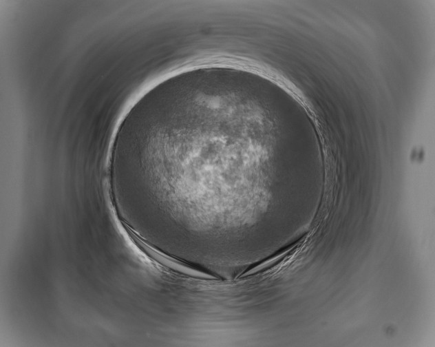 X0000100371536200806061144
