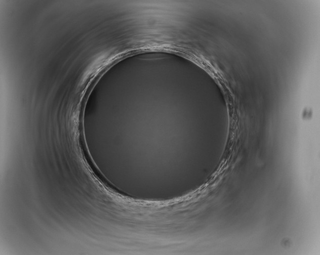 X0000100370002200806131048