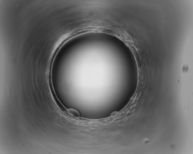 X0000100370003200806131048