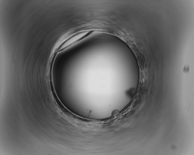 X0000100370004200806131048