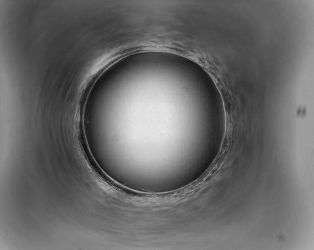 X0000100370005200806131048