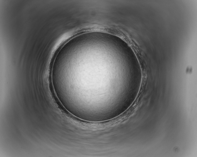 X0000100370006200806131048