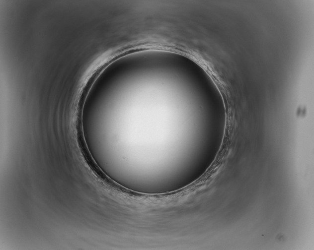 X0000100370007200806131048