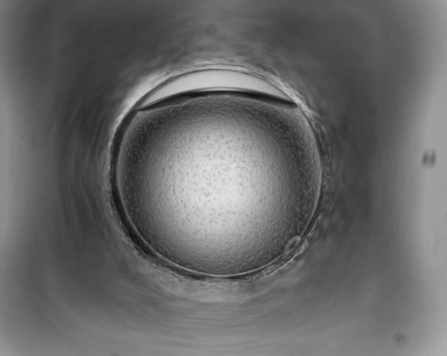 X0000100370008200806131048