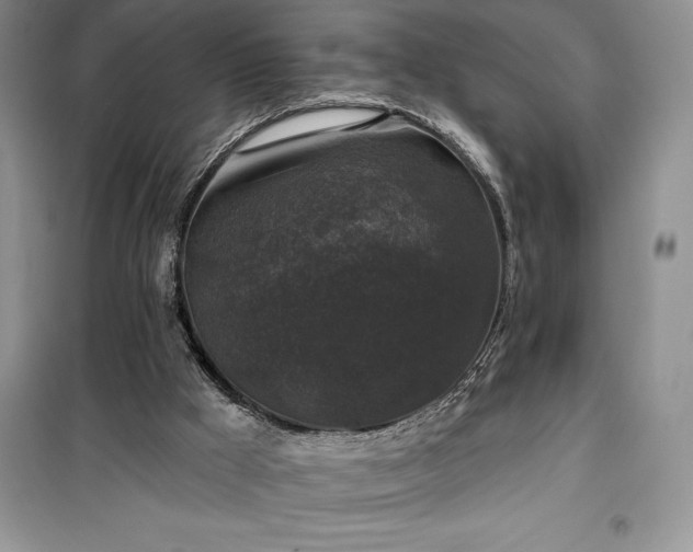 X0000100370009200806131048