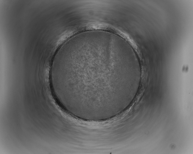 X0000100370010200806131048