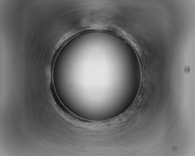 X0000100370011200806131048