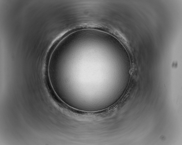 X0000100370012200806131048