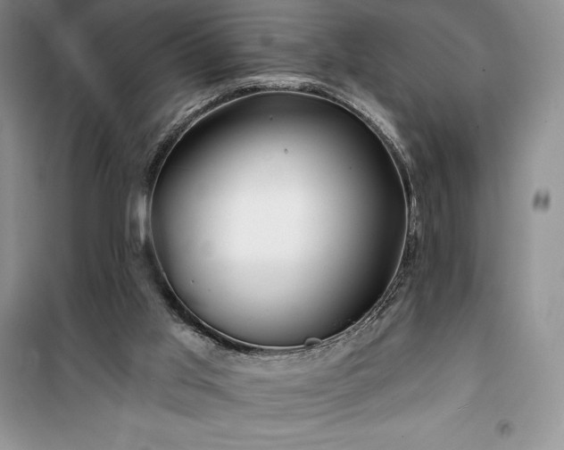 X0000100370013200806131047