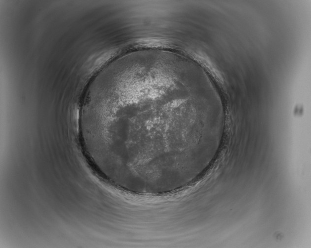 X0000100370014200806131047