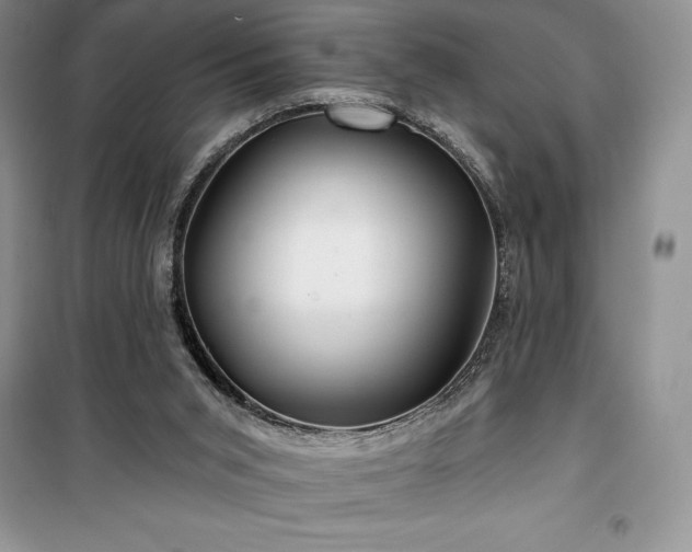 X0000100370015200806131047