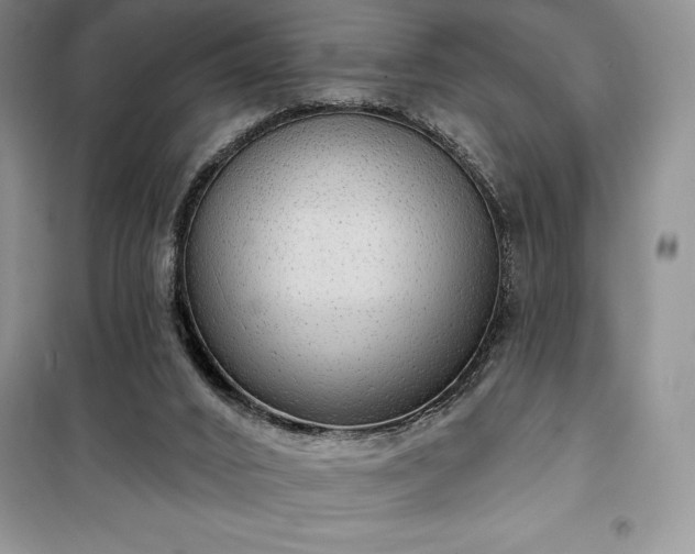 X0000100370016200806131047