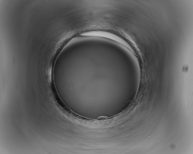 X0000100370019200806131047