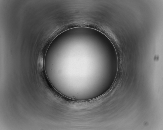 X0000100370021200806131047