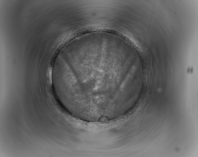 X0000100370022200806131047