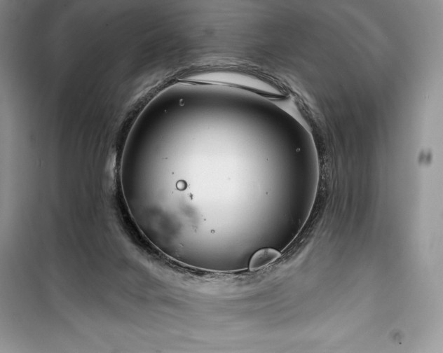 X0000100370024200806131047