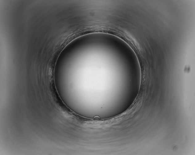 X0000100370025200806131047