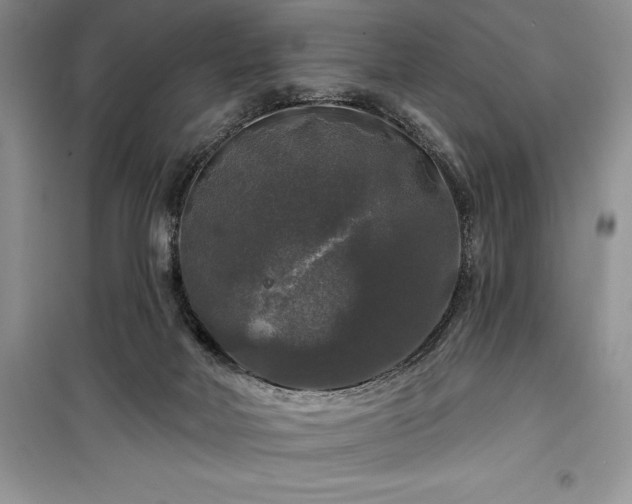 X0000100370026200806131047