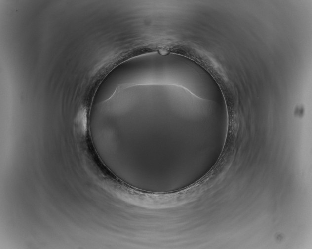 X0000100370027200806131047