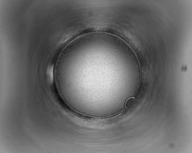 X0000100370028200806131047