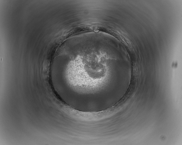 X0000100370030200806131047