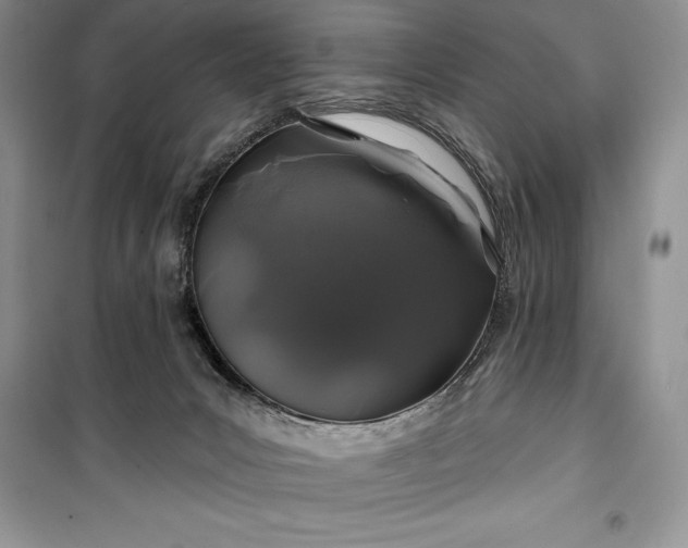 X0000100370031200806131047