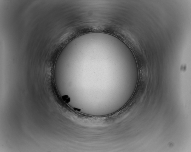 X0000100370032200806131047