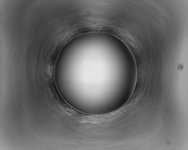 X0000100370033200806131047