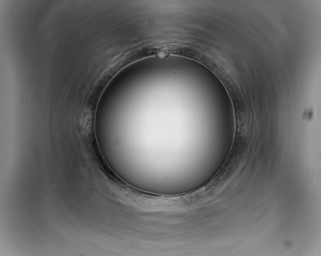 X0000100370036200806131047