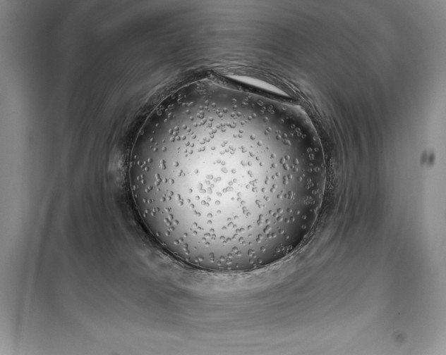 X0000100370037200806131047