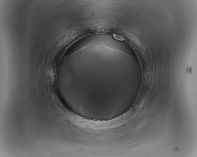 X0000100370039200806131047