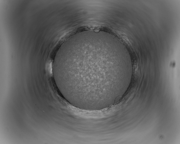 X0000100370042200806131047