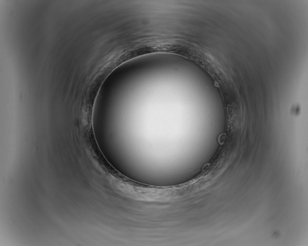 X0000100370044200806131047