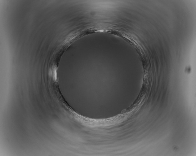 X0000100370046200806131047