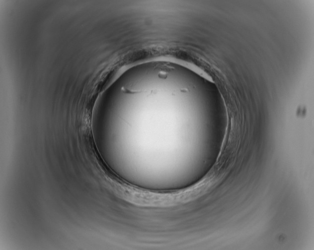 X0000100370048200806131047