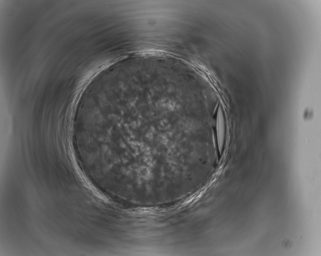 X0000100370049200806131046