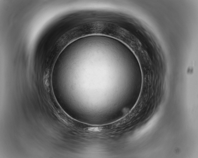 X0000100370050200806131046