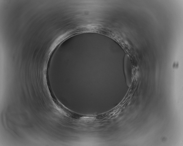 X0000100370051200806131046