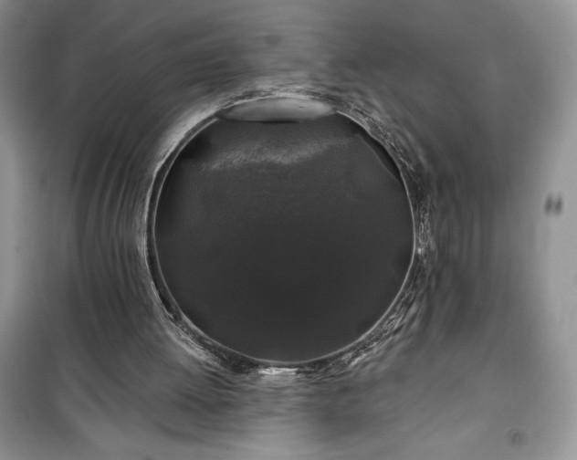 X0000100370052200806131046