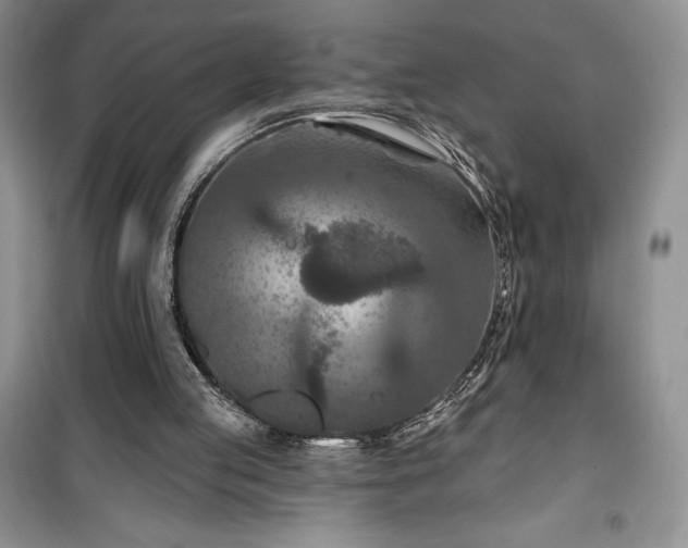 X0000100370053200806131046