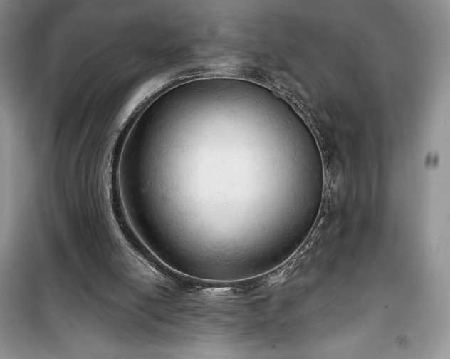 X0000100370054200806131046