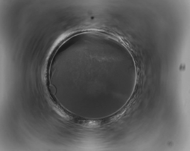 X0000100370056200806131046