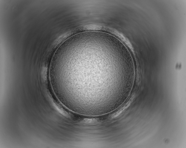 X0000100370057200806131046