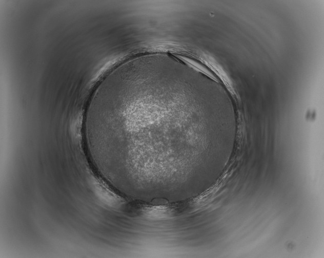 X0000100370058200806131046