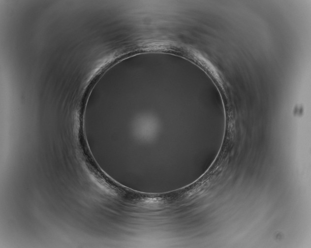 X0000100370059200806131046