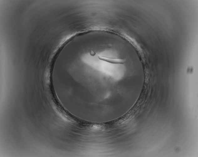 X0000100370060200806131047