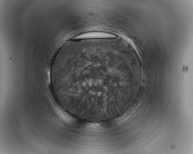 X0000100370061200806131047