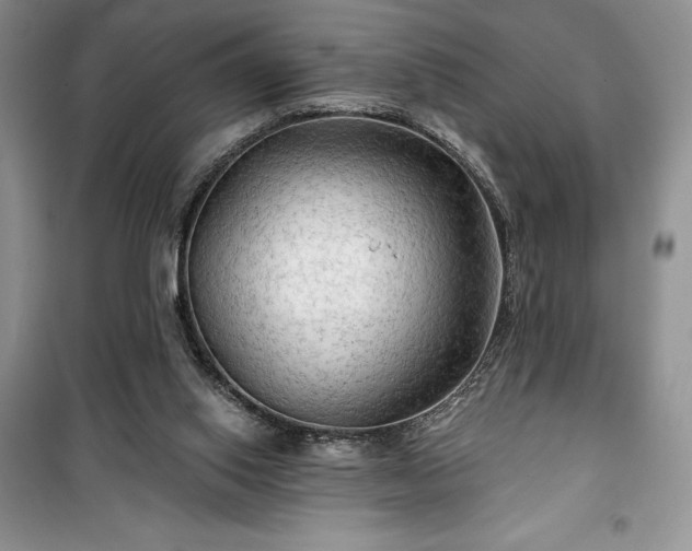 X0000100370062200806131047