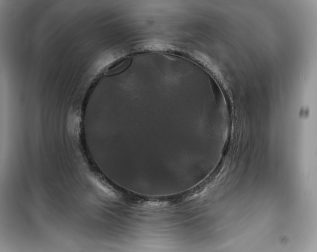 X0000100370063200806131047